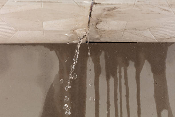 Professional Burst Pipe Cleanup technician working in Bear River City, UT